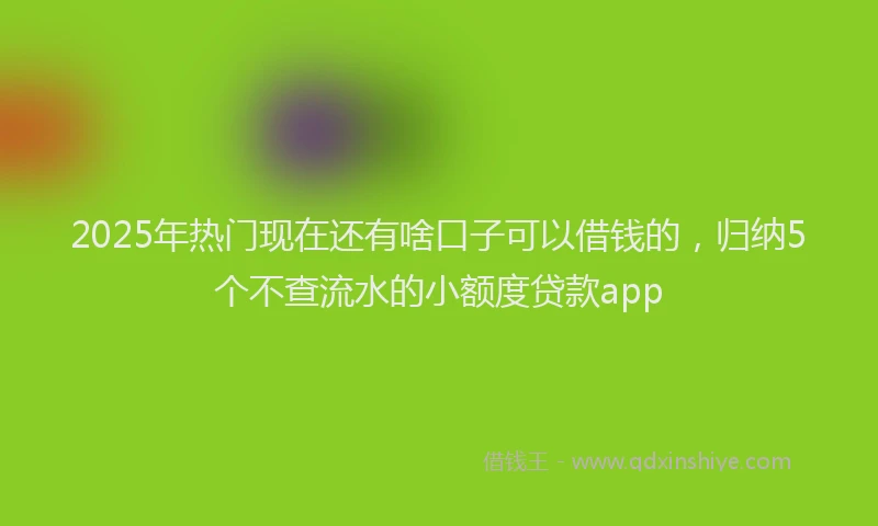 2025年热门现在还有啥口子可以借钱的，归纳5个不查流水的小额度贷款app