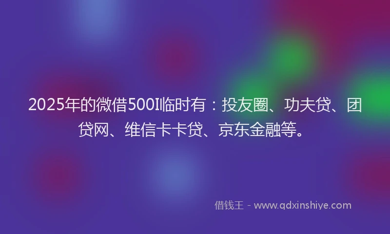 2025年的微借500I临时有：投友圈、功夫贷、团贷网、维信卡卡贷、京东金融等。