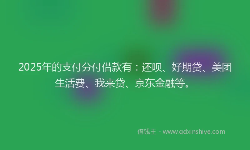 2025年的支付分付借款有：还呗、好期贷、美团生活费、我来贷、京东金融等。