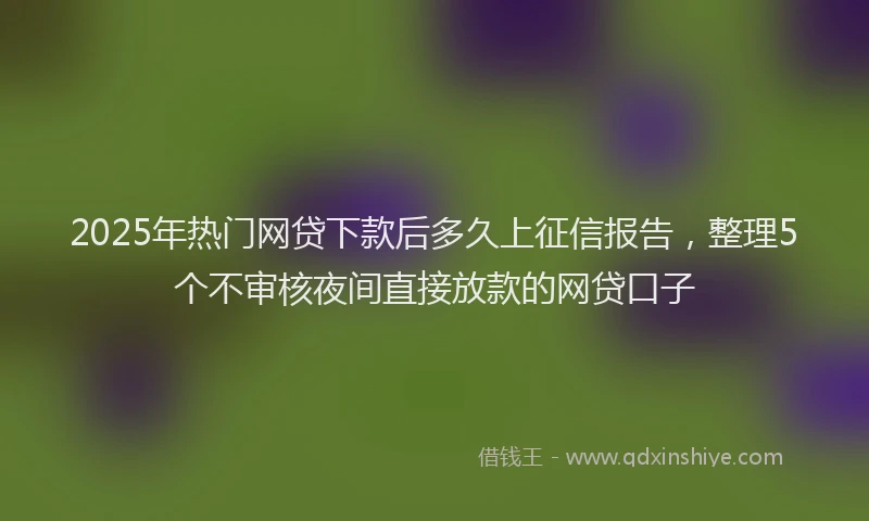 2025年热门网贷下款后多久上征信报告，整理5个不审核夜间直接放款的网贷口子