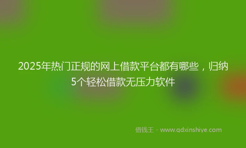2025年热门正规的网上借款平台都有哪些，归纳5个轻松借款无压力软件