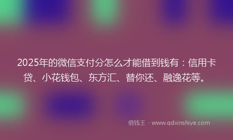 2025年的微信支付分怎么才能借到钱有:信用卡贷、小花钱包、东方汇、替你还、融逸花等。