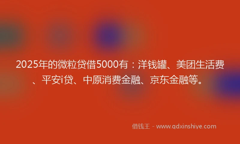2025年的微粒贷借5000有：洋钱罐、美团生活费、平安i贷、中原消费金融、京东金融等。