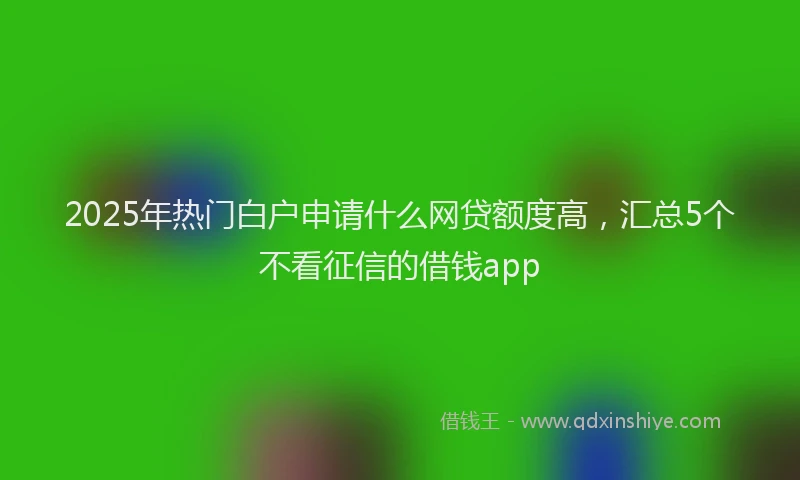 2025年热门白户申请什么网贷额度高，汇总5个不看征信的借钱app