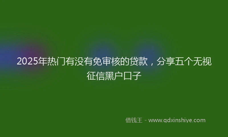 2025年热门有没有免审核的贷款，分享五个无视征信黑户口子