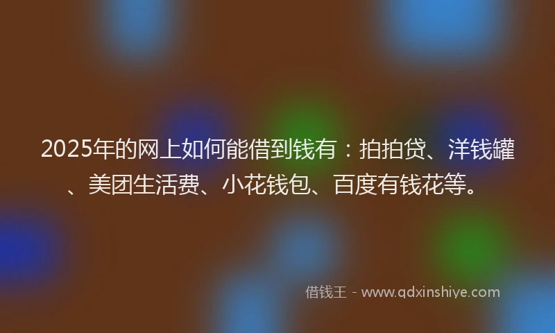 2025年的网上如何能借到钱有：拍拍贷、洋钱罐、美团生活费、小花钱包、百度有钱花等。