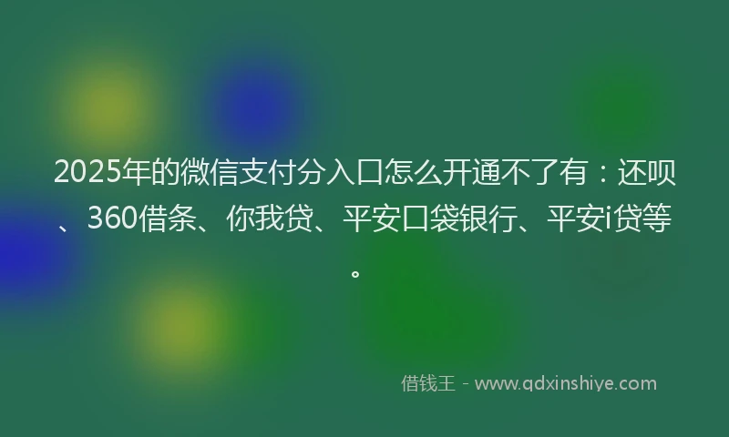 2025年的微信支付分入口怎么开通不了有：还呗、360借条、你我贷、平安口袋银行、平安i贷等。