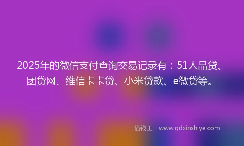 2025年的微信支付查询交易记录有：51人品贷、团贷网、维信卡卡贷、小米贷款、e微贷等。
