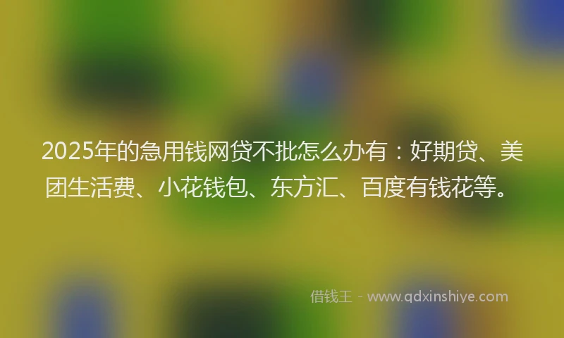 2025年的急用钱网贷不批怎么办有：好期贷、美团生活费、小花钱包、东方汇、百度有钱花等。