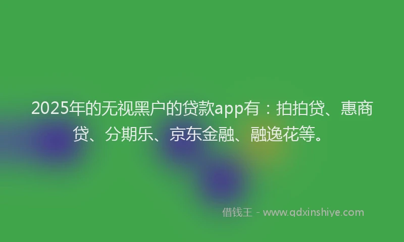2025年的无视黑户的贷款app有：拍拍贷、惠商贷、分期乐、京东金融、融逸花等。