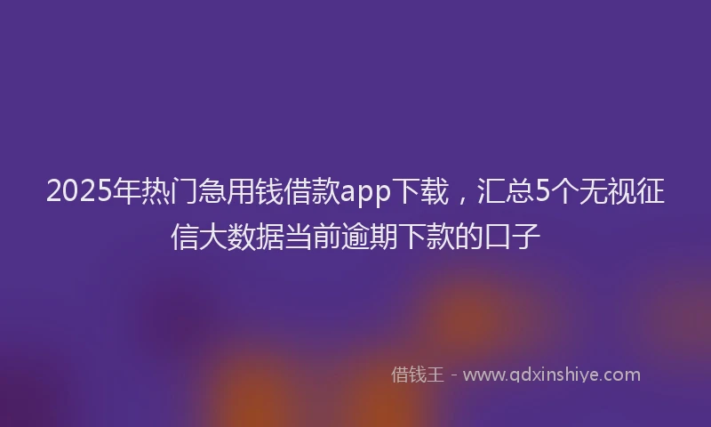 2025年热门急用钱借款app下载，汇总5个无视征信大数据当前逾期下款的口子