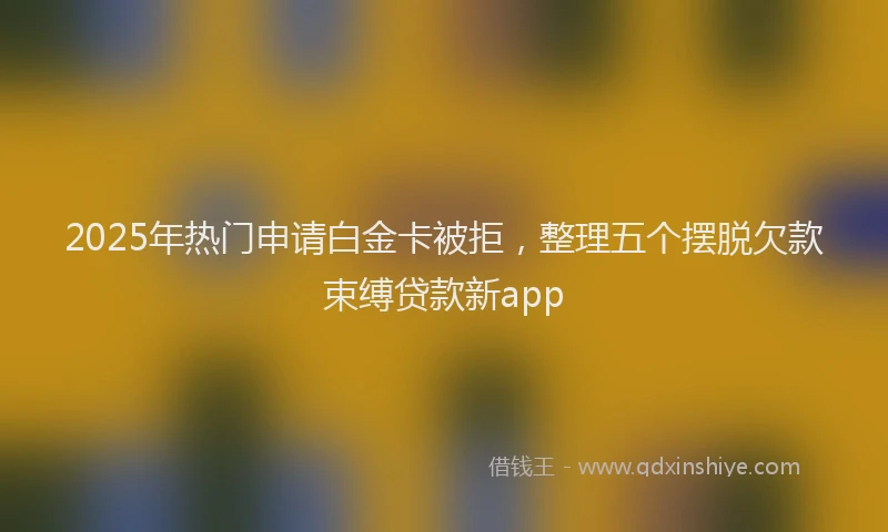2025年热门申请白金卡被拒，整理五个摆脱欠款束缚贷款新app