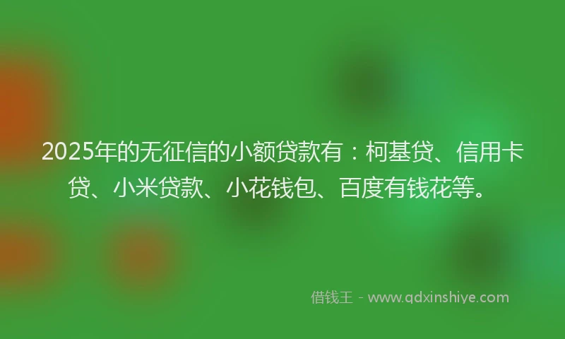 2025年的无征信的小额贷款有：柯基贷、信用卡贷、小米贷款、小花钱包、百度有钱花等。