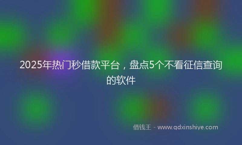 2025年热门秒借款平台，盘点5个不看征信查询的软件