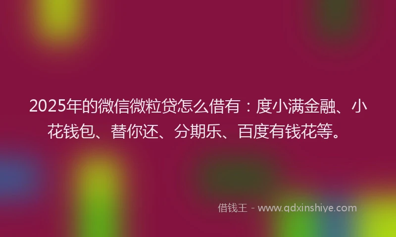 2025年的微信微粒贷怎么借有：度小满金融、小花钱包、替你还、分期乐、百度有钱花等。
