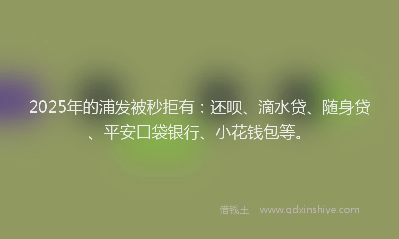 2025年的浦发被秒拒有：还呗、滴水贷、随身贷、平安口袋银行、小花钱包等。