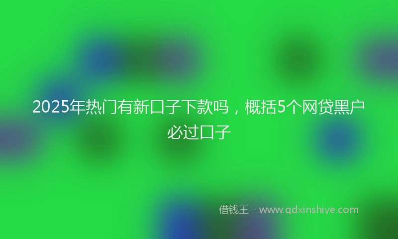 2025年热门有新口子下款吗，概括5个网贷黑户必过口子