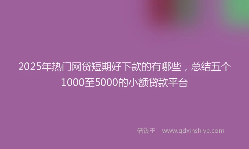 2025年热门网贷短期好下款的有哪些，总结五个1000至5000的小额贷款平台
