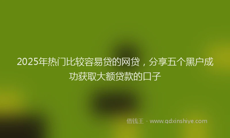 2025年热门比较容易贷的网贷，分享五个黑户成功获取大额贷款的口子