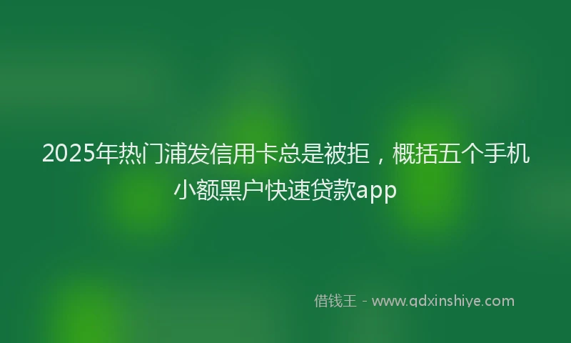 2025年热门浦发信用卡总是被拒，概括五个手机小额黑户快速贷款app