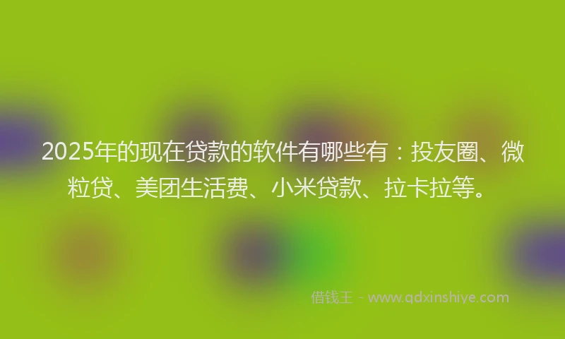 2025年的现在贷款的软件有哪些有：投友圈、微粒贷、美团生活费、小米贷款、拉卡拉等。