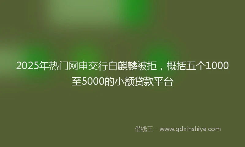 2025年热门网申交行白麒麟被拒，概括五个1000至5000的小额贷款平台