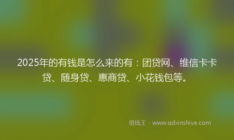 2025年的有钱是怎么来的有：团贷网、维信卡卡贷、随身贷、惠商贷、小花钱包等。