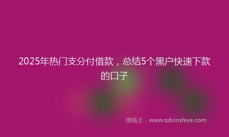 2025年热门支分付借款，总结5个黑户快速下款的口子