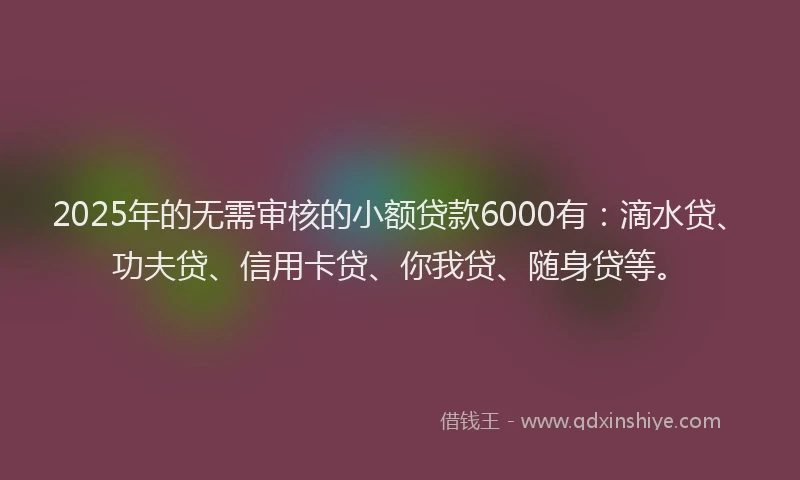 2025年的无需审核的小额贷款6000有：滴水贷、功夫贷、信用卡贷、你我贷、随身贷等。