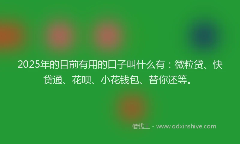 2025年的目前有用的口子叫什么有：微粒贷、快贷通、花呗、小花钱包、替你还等。
