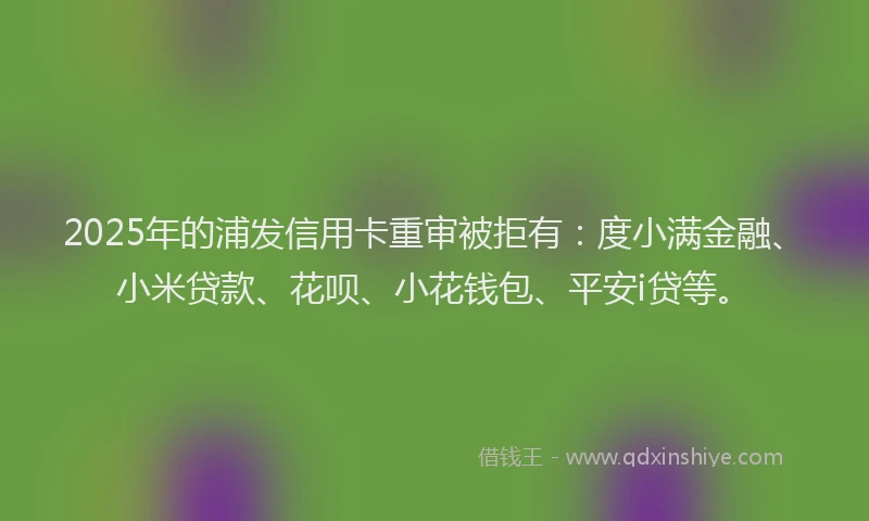 2025年的浦发信用卡重审被拒有：度小满金融、小米贷款、花呗、小花钱包、平安i贷等。