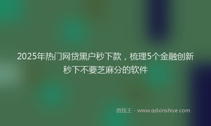 2025年热门网贷黑户秒下款，梳理5个金融创新秒下不要芝麻分的软件