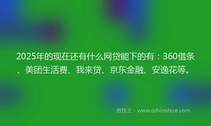 2025年的现在还有什么网贷能下的有：360借条、美团生活费、我来贷、京东金融、安逸花等。