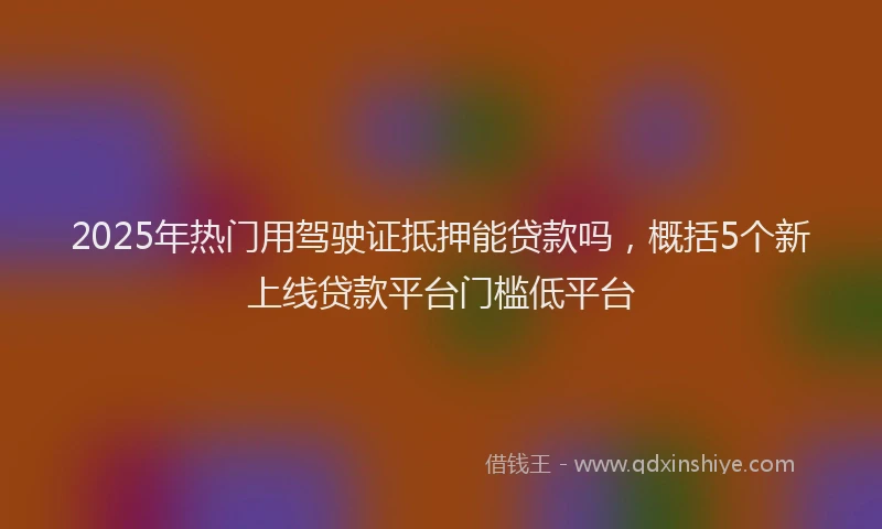 2025年热门用驾驶证抵押能贷款吗，概括5个新上线贷款平台门槛低平台