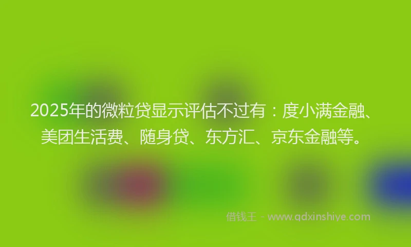 2025年的微粒贷显示评估不过有：度小满金融、美团生活费、随身贷、东方汇、京东金融等。