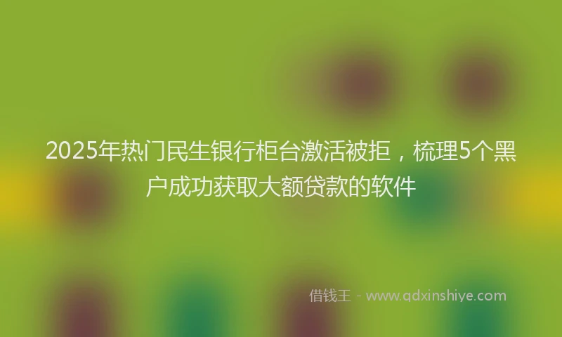 2025年热门民生银行柜台激活被拒，梳理5个黑户成功获取大额贷款的软件