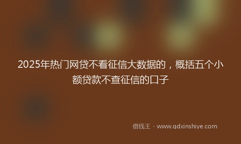 2025年热门网贷不看征信大数据的，概括五个小额贷款不查征信的口子