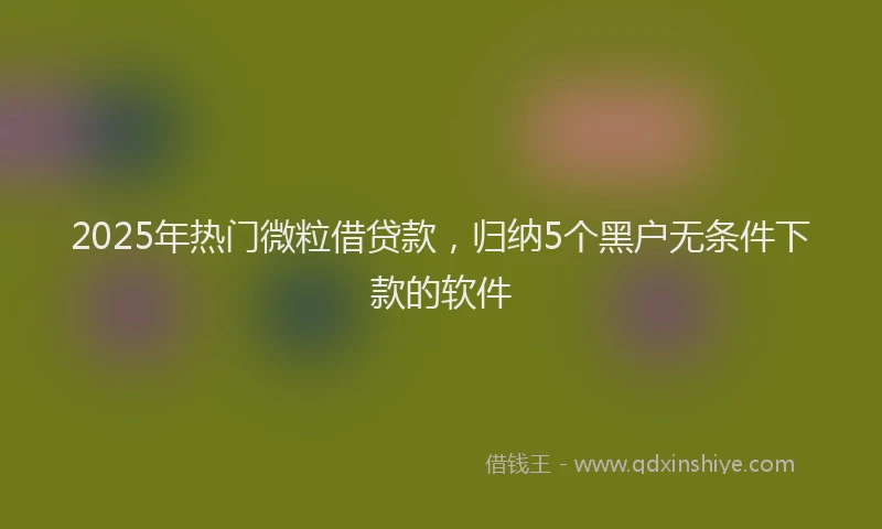 2025年热门微粒借贷款，归纳5个黑户无条件下款的软件