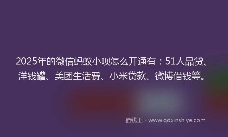 2025年的微信蚂蚁小呗怎么开通有：51人品贷、洋钱罐、美团生活费、小米贷款、微博借钱等。