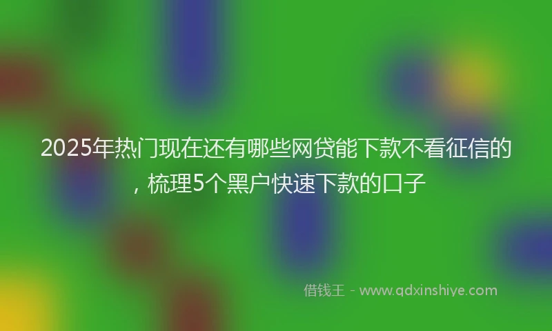 2025年热门现在还有哪些网贷能下款不看征信的，梳理5个黑户快速下款的口子