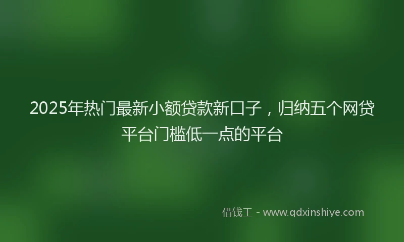 2025年热门最新小额贷款新口子，归纳五个网贷平台门槛低一点的平台