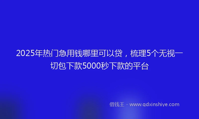 2025年热门急用钱哪里可以贷，梳理5个无视一切包下款5000秒下款的平台