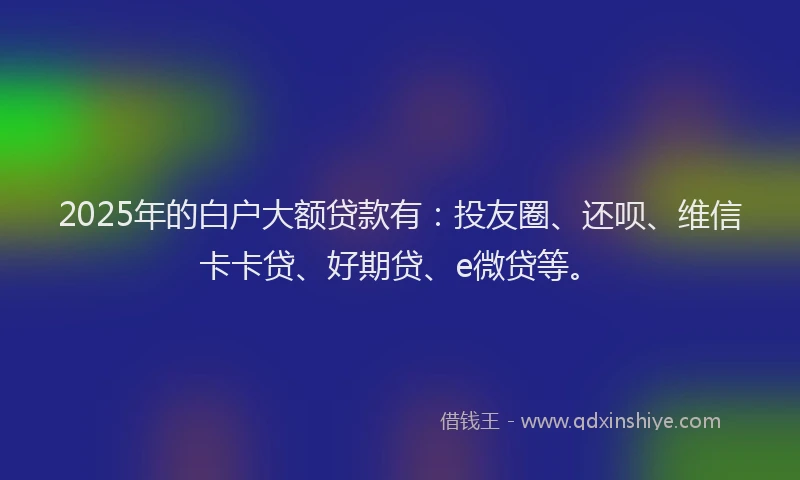 2025年的白户大额贷款有：投友圈、还呗、维信卡卡贷、好期贷、e微贷等。