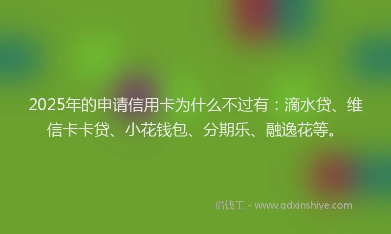 2025年的申请信用卡为什么不过有：滴水贷、维信卡卡贷、小花钱包、分期乐、融逸花等。