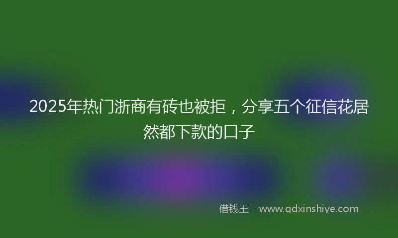 2025年热门浙商有砖也被拒，分享五个征信花居然都下款的口子