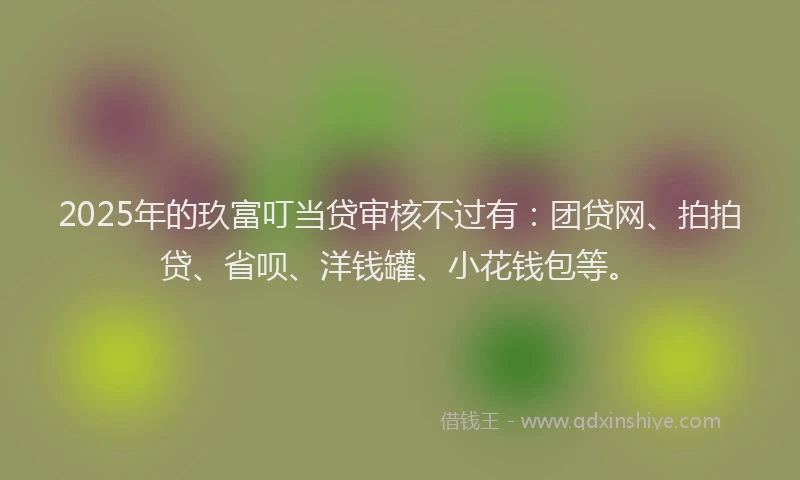 2025年的玖富叮当贷审核不过有：团贷网、拍拍贷、省呗、洋钱罐、小花钱包等。