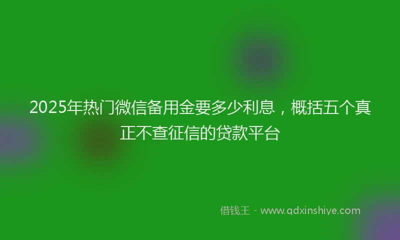 2025年热门微信备用金要多少利息，概括五个真正不查征信的贷款平台