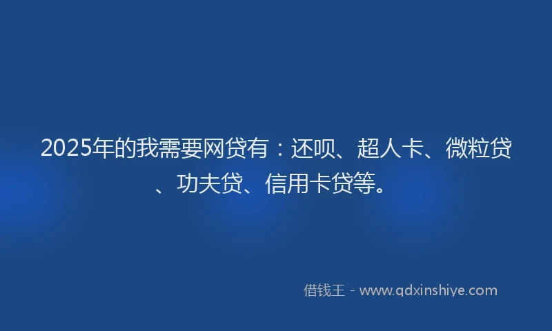 2025年的我需要网贷有：还呗、超人卡、微粒贷、功夫贷、信用卡贷等。