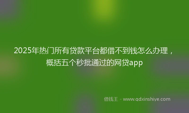 2025年热门所有贷款平台都借不到钱怎么办理，概括五个秒批通过的网贷app