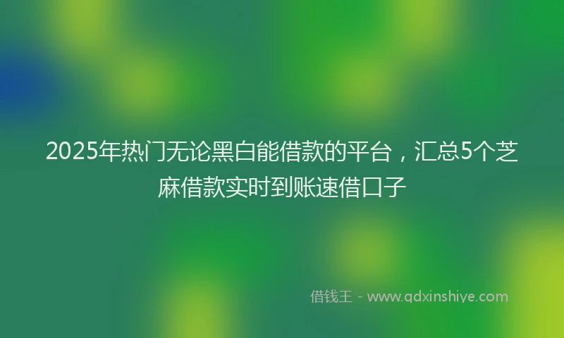 2025年热门无论黑白能借款的平台，汇总5个芝麻借款实时到账速借口子